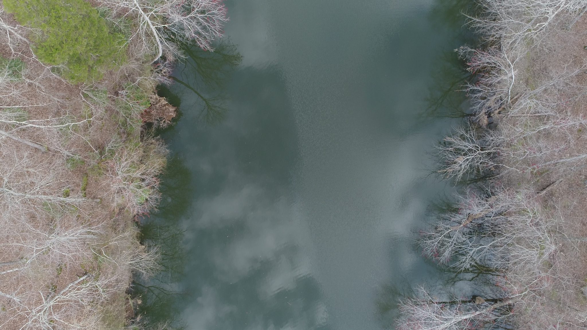 Drone shot over river that features winter trees without leaves and a smooth, steel colored and glassy water reflecting the clouds